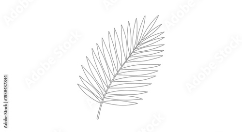 Gray line drawing of a single, elegant palm frond
