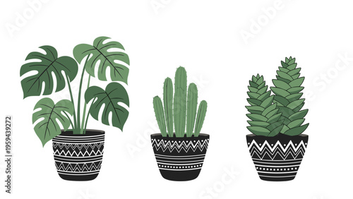 Modern illustration of three different green plants in stylish black pots decorated with white geometric tribal patterns on white background.