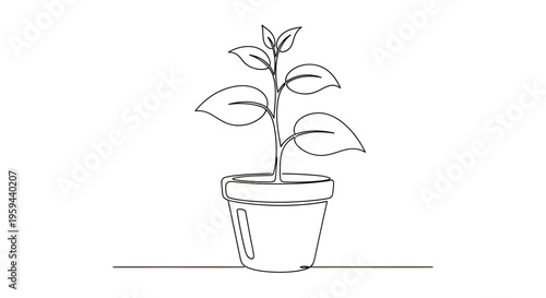 A minimalist line drawing of a potted plant with delicate leaves