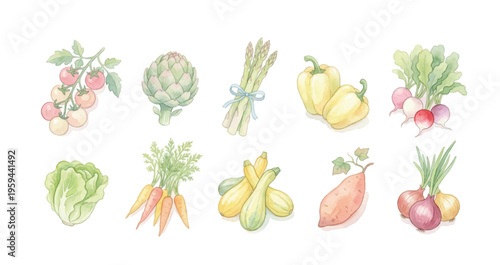 Watercolor Vegetable Clipart Set Vol.3 — 10 Fresh Farm Produce & Garden Veggies PNG SVG Vector Illustration