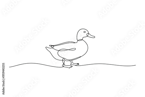 Single line of a duck standing on water line water bird minimalist