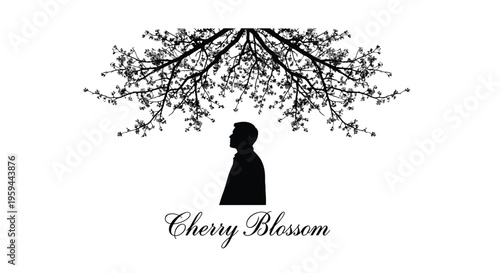 Silhouette of a solitary person standing beneath the spreading branches of a blooming cherry blossom tree creating a peaceful and introspective natural design concept
