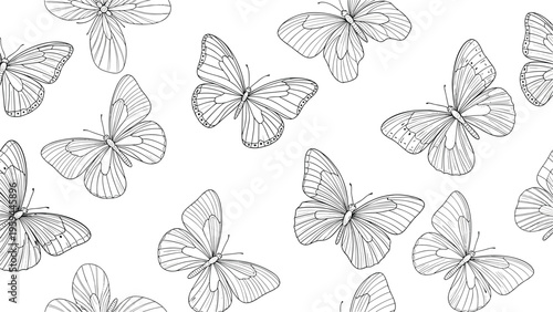 Delicate seamless pattern features detailed black and white line art sketches of butterflies flying across a plain background.