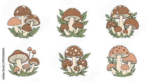 Set of six different brown spotted mushroom clusters with green leaves and grass isolated on white background.