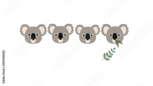 Row of four adorable koala head illustrations with soft grey fur, including one koala eating green eucalyptus leaves.