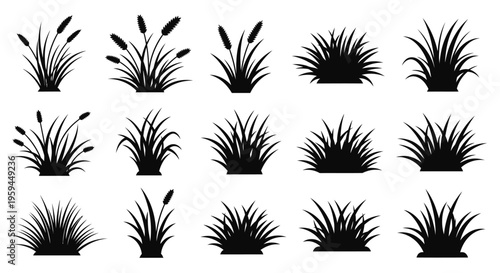 Set of Grass and Wheat Silhouettes - Black Vector Icons of Meadow Plants, Lawns, and Grains Isolated on White Background