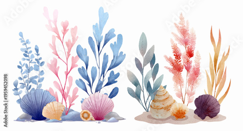 Colorful watercolor seabed composition with pink, blue and orange seaweed, varied coral and assorted seashells on a soft white background, delicate and decorative ocean art