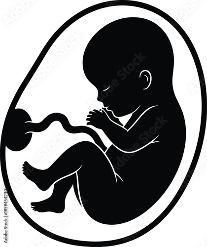 Black silhouette of a human fetus in the womb with umbilical cord and placenta isolated on white background for medical design