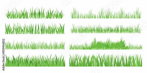 Collection of various green grass blades arranged in horizontal rows