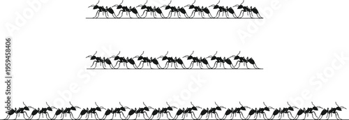 A herd of horses running in three rows