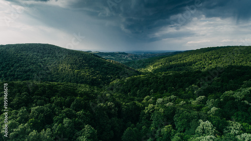 Aerial view of a dense forest canopy embracing rolling hills beneath a dramatic, stormy sky, Novi Sad, Vojvodina, Serbia.