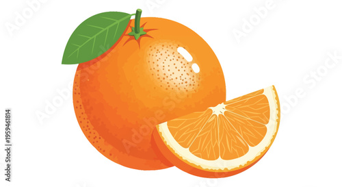 Fresh orange fruit vector illustration with a ripe whole and juicy slice design