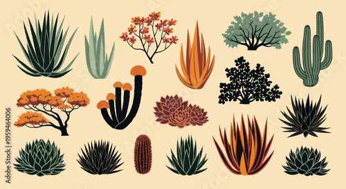Desert Plants Collection: Agave, Cactus, Succulents & Trees