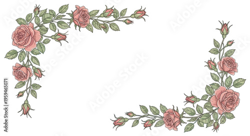 Slika na platnu Delicate rose branches with buds adorn corners of a white background