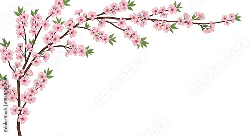 Delicate pink blossoms adorn thin branches, reaching from the left corner
