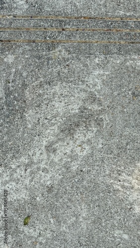 Top-down capture of a mottled grey concrete surface bordered by straight expansion joints filled with dry debris.