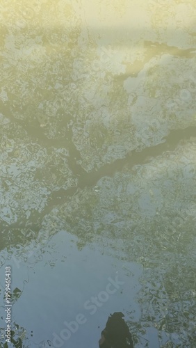 Abstract surface view of murky greenish water reflecting a distorted dark tree canopy and clear sky.