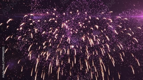 fireworks in the night sky