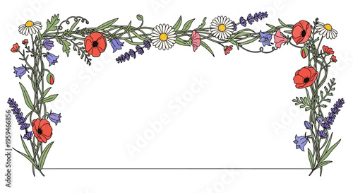 A decorative border of red poppies, white daisies, purple lavender and blue bellflowers