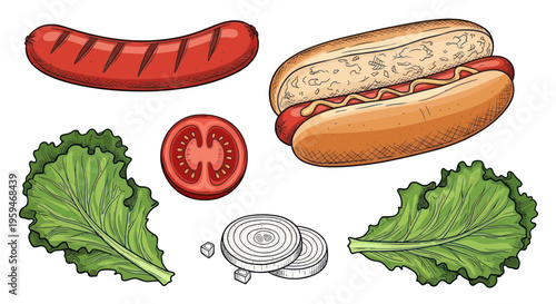 Hot Dog Ingredients: Sausage, Bun, Tomato, Lettuce, Onion - Isolated Illustration