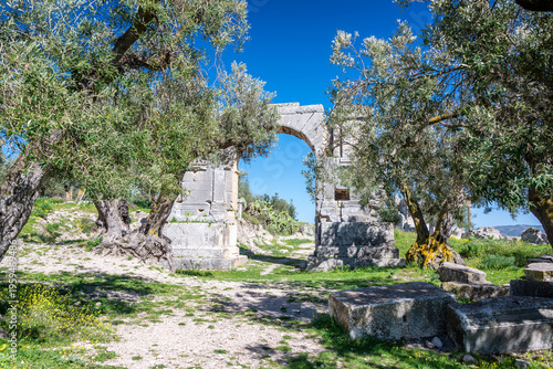 Dougga Arch of Alexander Severus framing olive trees