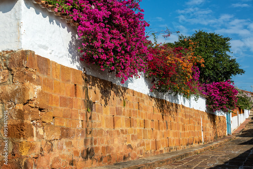 Barichara, Colombia, colonial street with colorful bougainvillea flowers