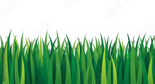 Green grass border illustration isolated on white background. Seamless summer meadow turf element for landscape design and environmental projects.