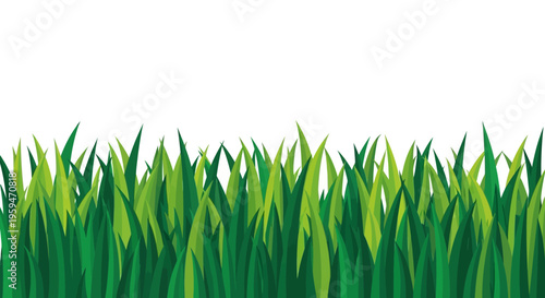 Green Grass Border Illustration Isolated on White Background
