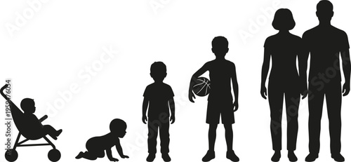 WebHuman life cycle silhouettes showing growth from baby in stroller to toddler, child with basketball, and adult parents, vector illustration.