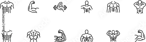 fitness muscle bodybuilding gym workout icons with strong athlete body torso biceps chest and abs anatomy training symbols collection illustration on transparent background