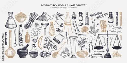 Vintage apothecary equipment set. Traditional medicine ingredient sketches. Laboratory glassware, herbs, roots, mushrooms hand drawn vector illustration NOT AI generated. 