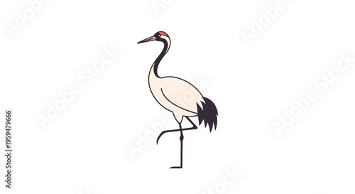 Red-crowned crane bird illustration