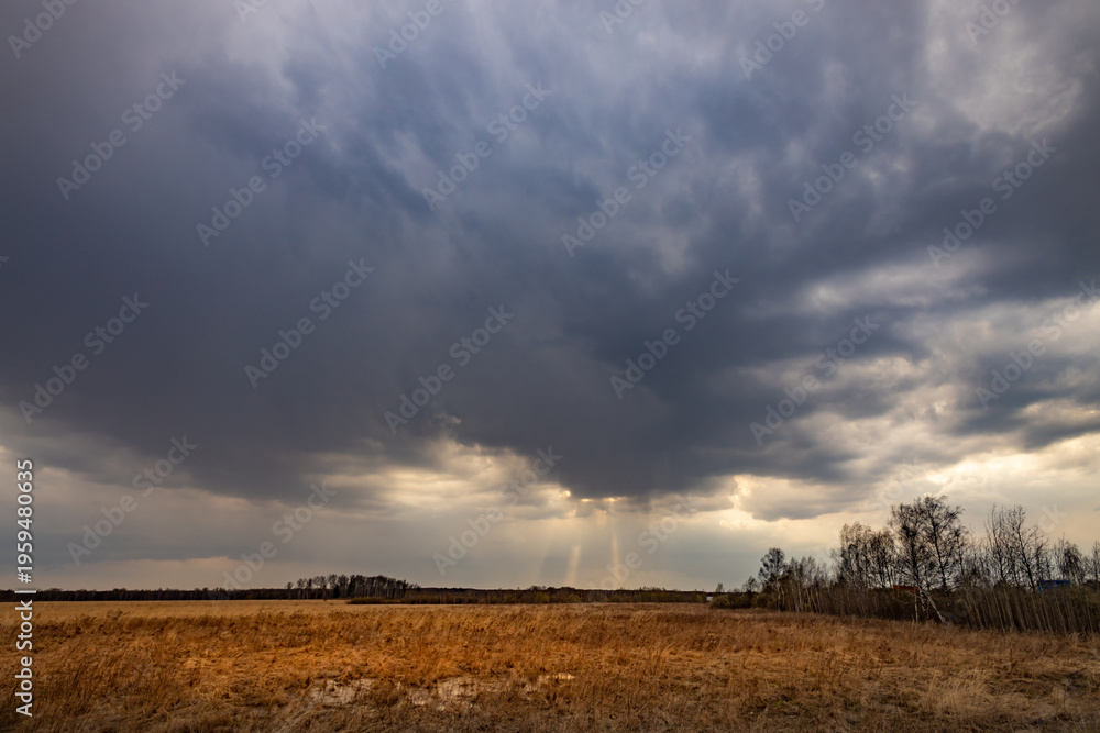 Fototapeta premium Dramatic landscape with storm clouds and falling rain over open field