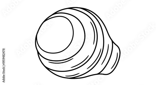 Stylized black and white illustration of a textured seashell