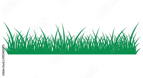 Green Grass Silhouette Horizontal Border, Vector Illustration of Fresh Spring Lawn Fringe Isolated on White Background