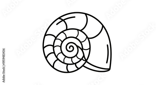 A black and white illustration of a spiraling shell with defined segments