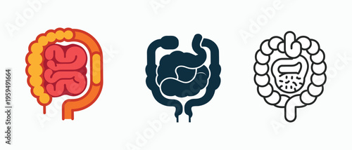 Human Intestine Icon Set Vector Collection on White Background