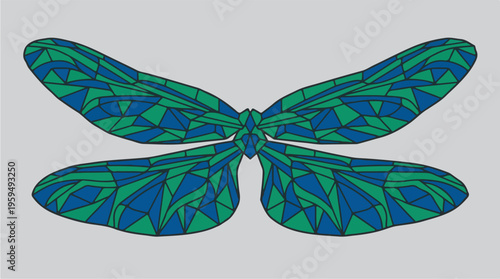 Large Blue Green Dragonfly Insect.