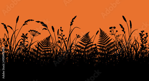 Silhouette of Wild Meadow Grass, Ferns, and Wildflowers against Orange Sunset Background
