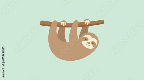 Sloth Hanging Upside Down.