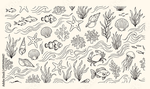 Marine life and ocean doodle pattern, underwater world and sea animals sketch, coral reef and tropical fish hand drawn icons, aquatic nature and nautical vector background, beach vacation and diving l