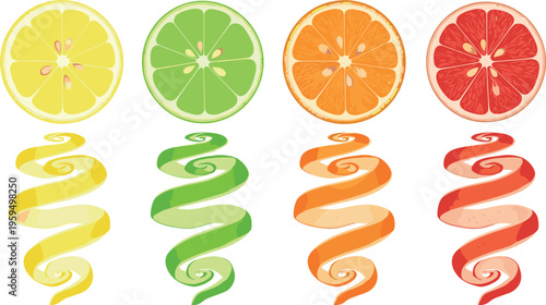 Colorful citrus fruit slices and spiral peels set with lemon lime orange and grapefruit fresh juicy vector illustration isolated