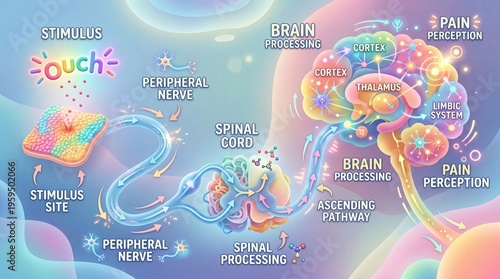 A vivid, dreamlike illustration of the human pain pathway, detailing the journey of nerve signals from stimulus through the spinal cord to brain perception