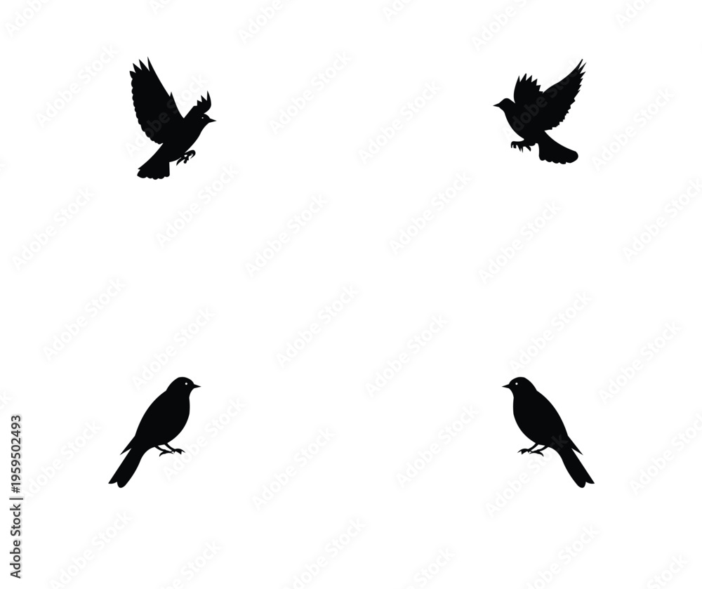 Fototapeta premium Four black bird silhouettes on flying and perched