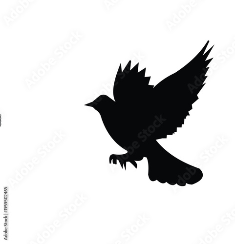 Black silhouette of a bird in flight flying free