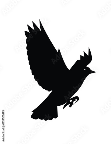 Silhouette of a bird in flight with wings spread wide