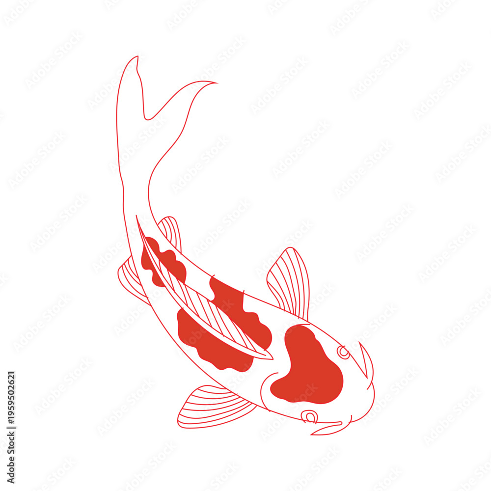Fototapeta premium Red koi fish swimming with vibrant fins and scales