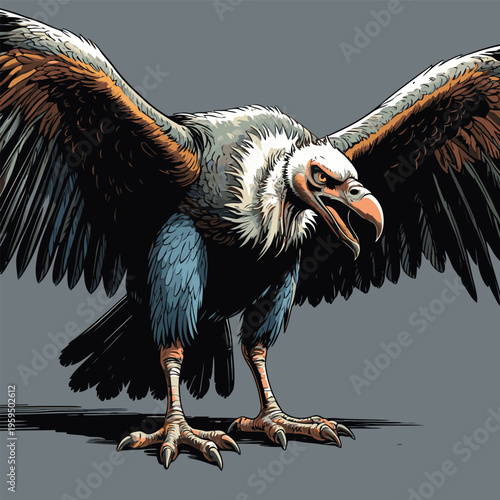 vector image of a carrion-eating vulture
