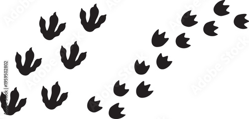 Footprints of the Past: A captivating display of dinosaur footprints, frozen in time. These remarkable impressions offer a glimpse into the prehistoric world. The perfect visuals for paleontology.