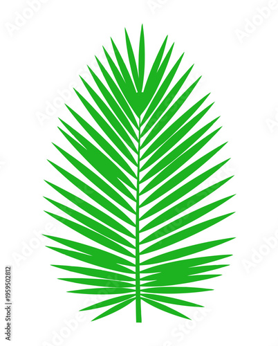 Vibrant green palm leaf vector illustration icon sheet easter palm sunday spring holiday graphic designs religious celebrations church design asset editable scalable vector art